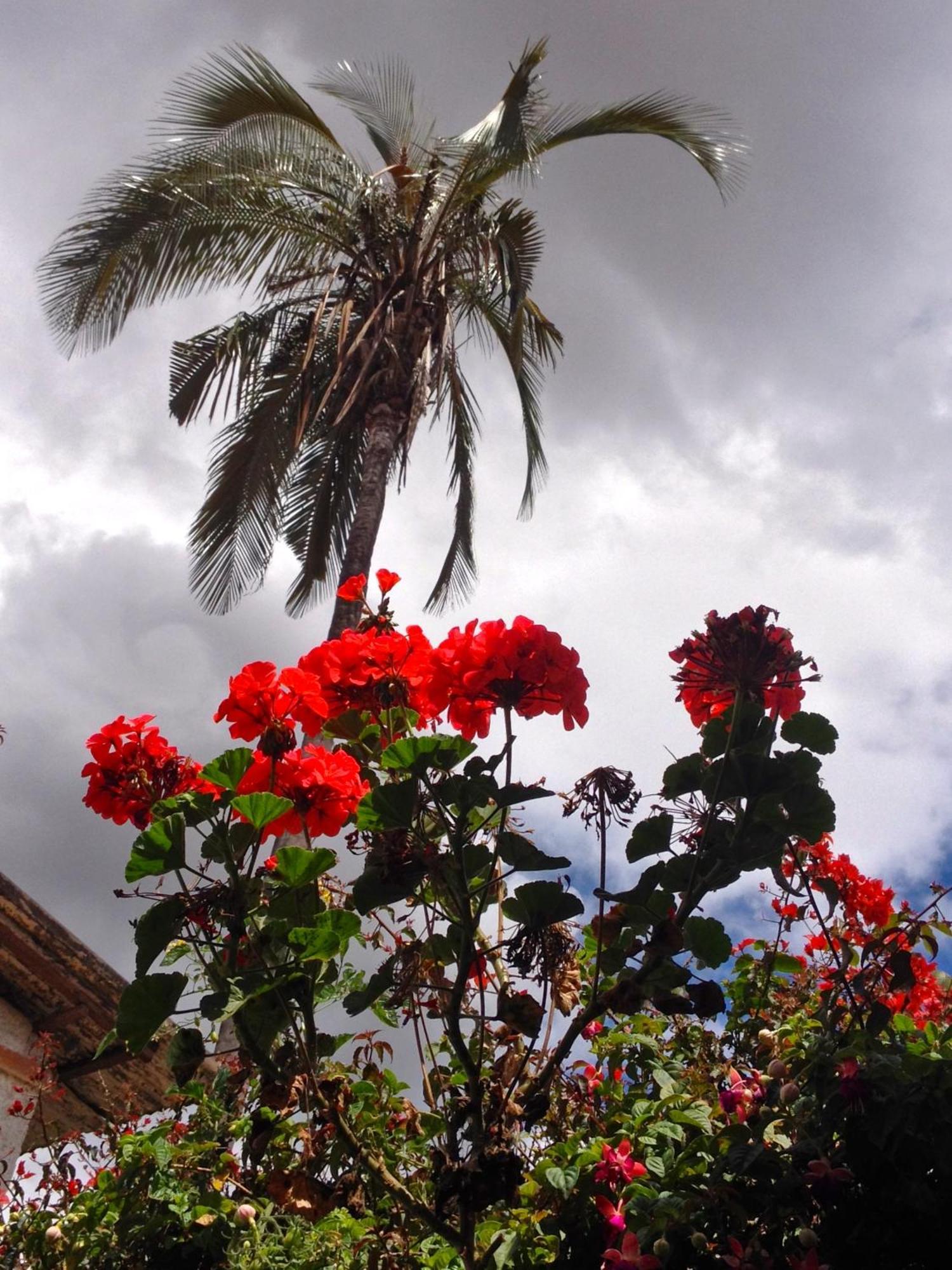 Casa Macondo Bed & Breakfast Cuenca Exteriör bild
